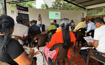 Clima-LoCa fortalece la producción cacaotera en Colombia: talleres participativos impulsan el manejo sostenible del cadmio en Arauca, Quindío y Antioquia