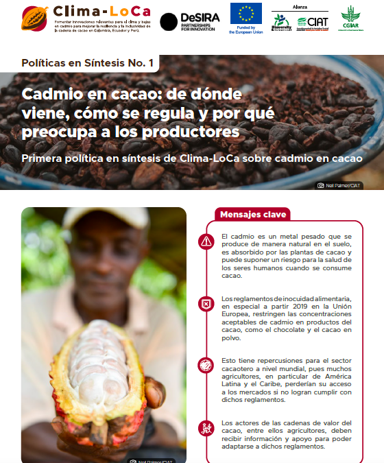 Cadmio en cacao: de dónde viene, cómo se regula y por qué preocupa a los productores