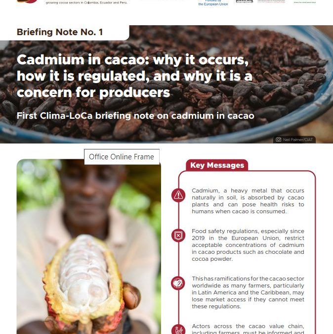 Cadmium in cacao: why it occurs, how it is regulated, and why it is a concern for producers