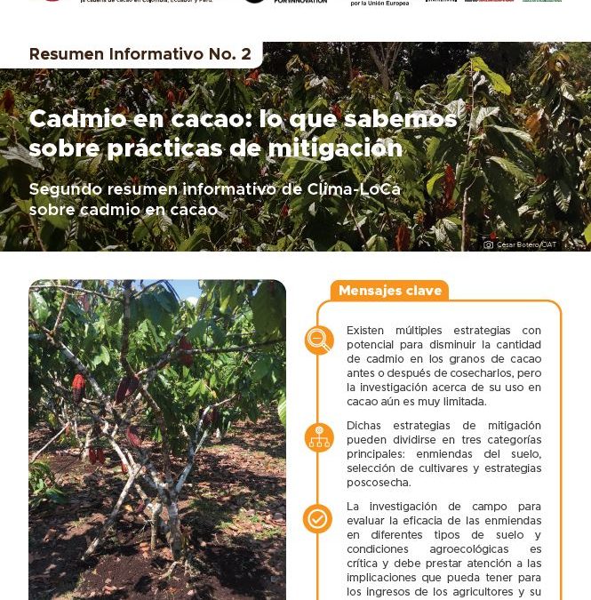 Cadmio en cacao: lo que sabemos sobre prácticas de mitigación