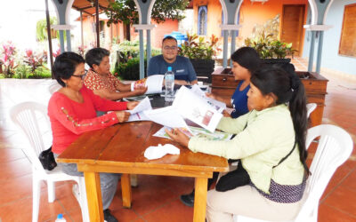 Cacao en Acción: Innovaciones y Desafíos en la Diseminación del Conocimiento en Ecuador