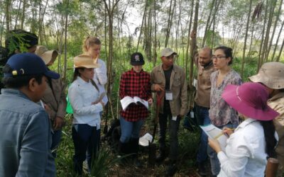 Climate – LoCa and Soil Health