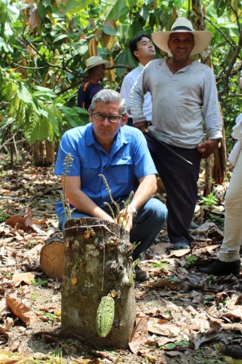 “We are dedicated to exporting cocoa derivatives almost 90%” | ClimaLoCa