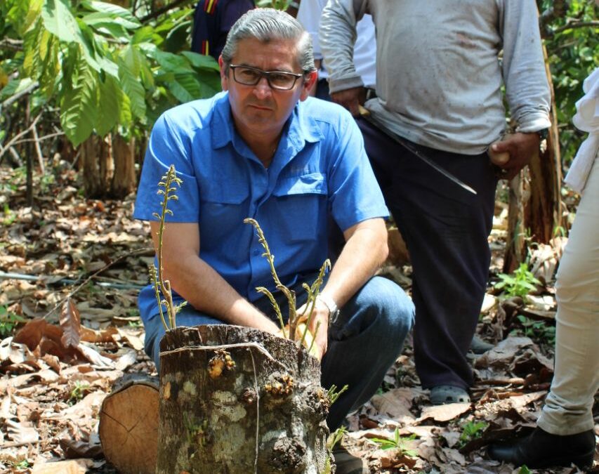 “We are dedicated to exporting cocoa derivatives almost 90%”