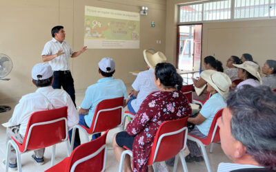 Clima-LoCa comparte resultados clave con productores de cacao en Piura, Perú